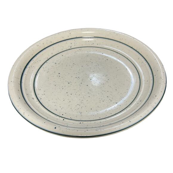 Tienshen Country Crock 8" Salad Plate Green Crock Flecks Vintage Discontinued - Picture 1 of 6